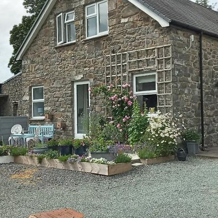 Pant Glas Barn Llanbrynmair Экстерьер фото