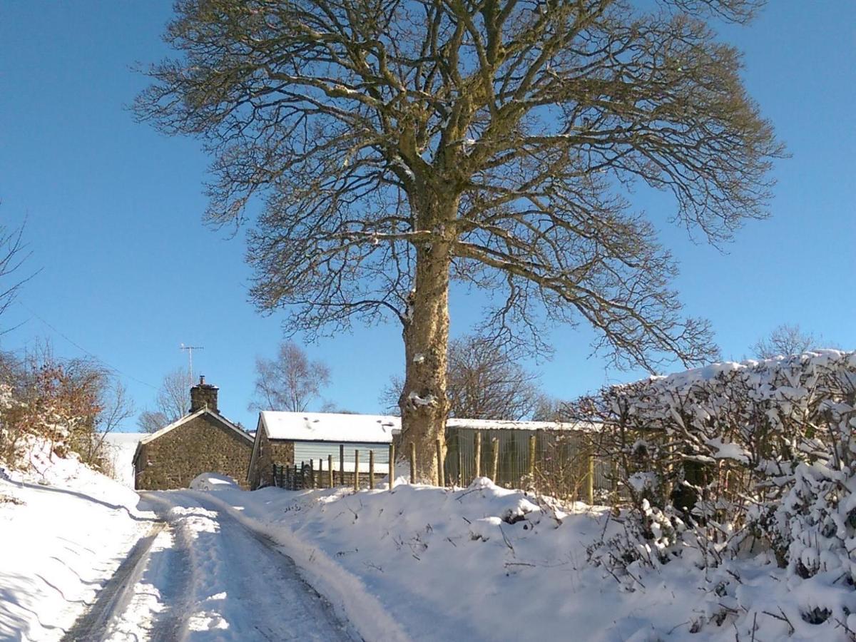 Pant Glas Barn Llanbrynmair Экстерьер фото
