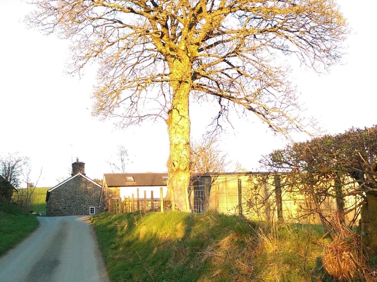 Pant Glas Barn Llanbrynmair Экстерьер фото